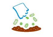The Pouch in soil initiates natural transformation