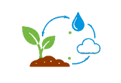 Leaves behind No Plastics or Harmful Residues